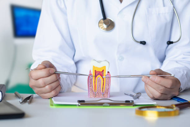 Best Emergency Root Canal Treatment in Evansdale, IA